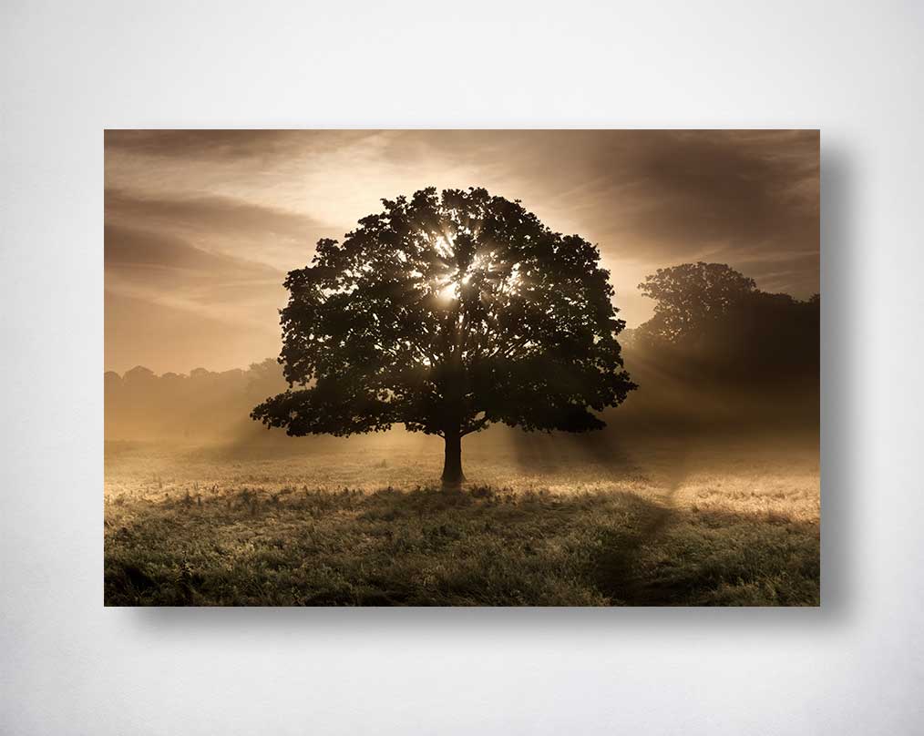 Tempered glass art with gold foil is perfect to compliment & enhance any contemporary setting.