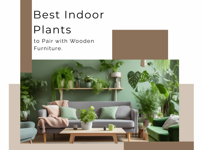 Best Indoor Plants to Pair with Wooden Furniture | Home Decor Ideas