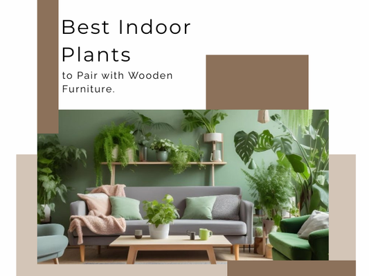 Best Indoor Plants to Pair with Wooden Furniture | Home Decor Ideas