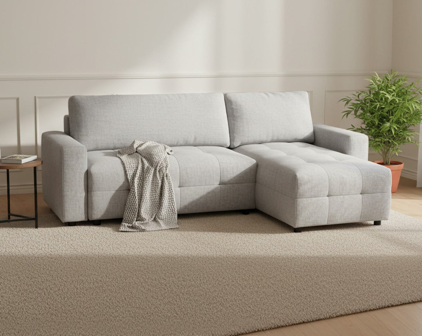 Placido Sectional Sofa Cum Bed